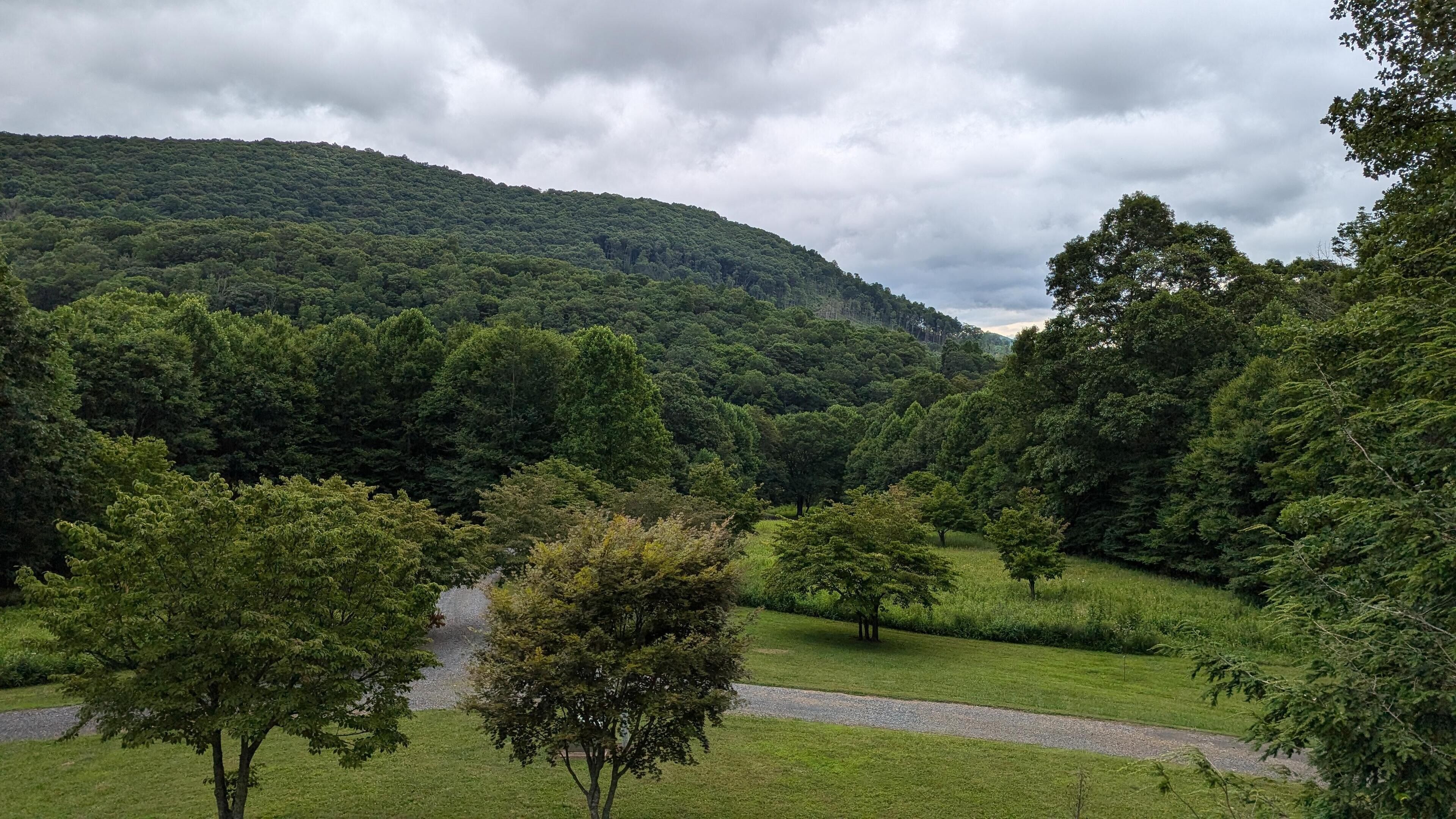 A lush green landscape with a gravel path leading through a forested area towards a hill.