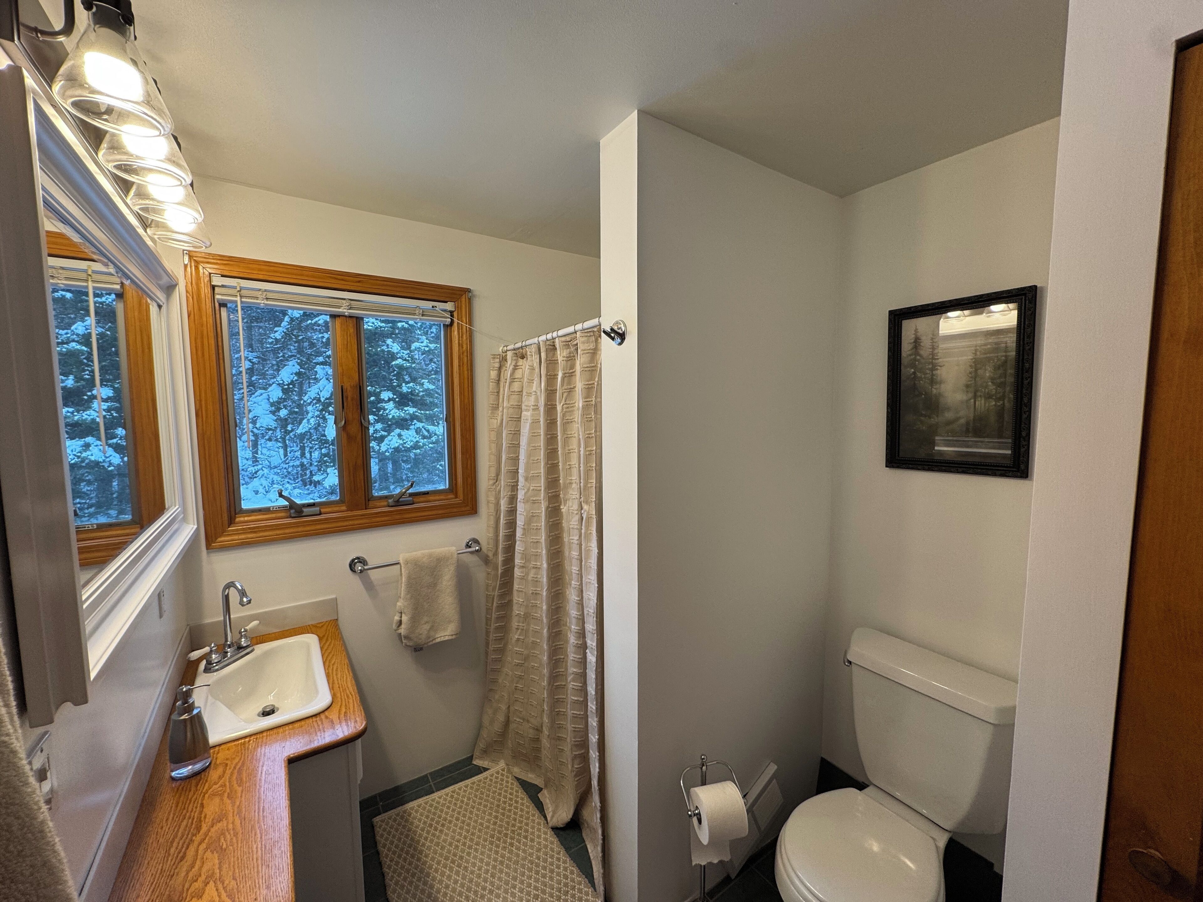 A bathroom with a wooden vanity, a sink, a toilet, a window with a view of trees, and a framed picture on the wall.