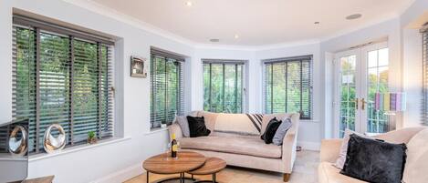 Smart TV, fireplace, stereo