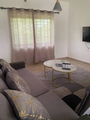 Smart TV, books