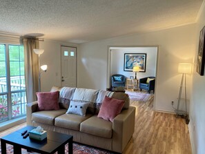 Smart TV, DVD player, books