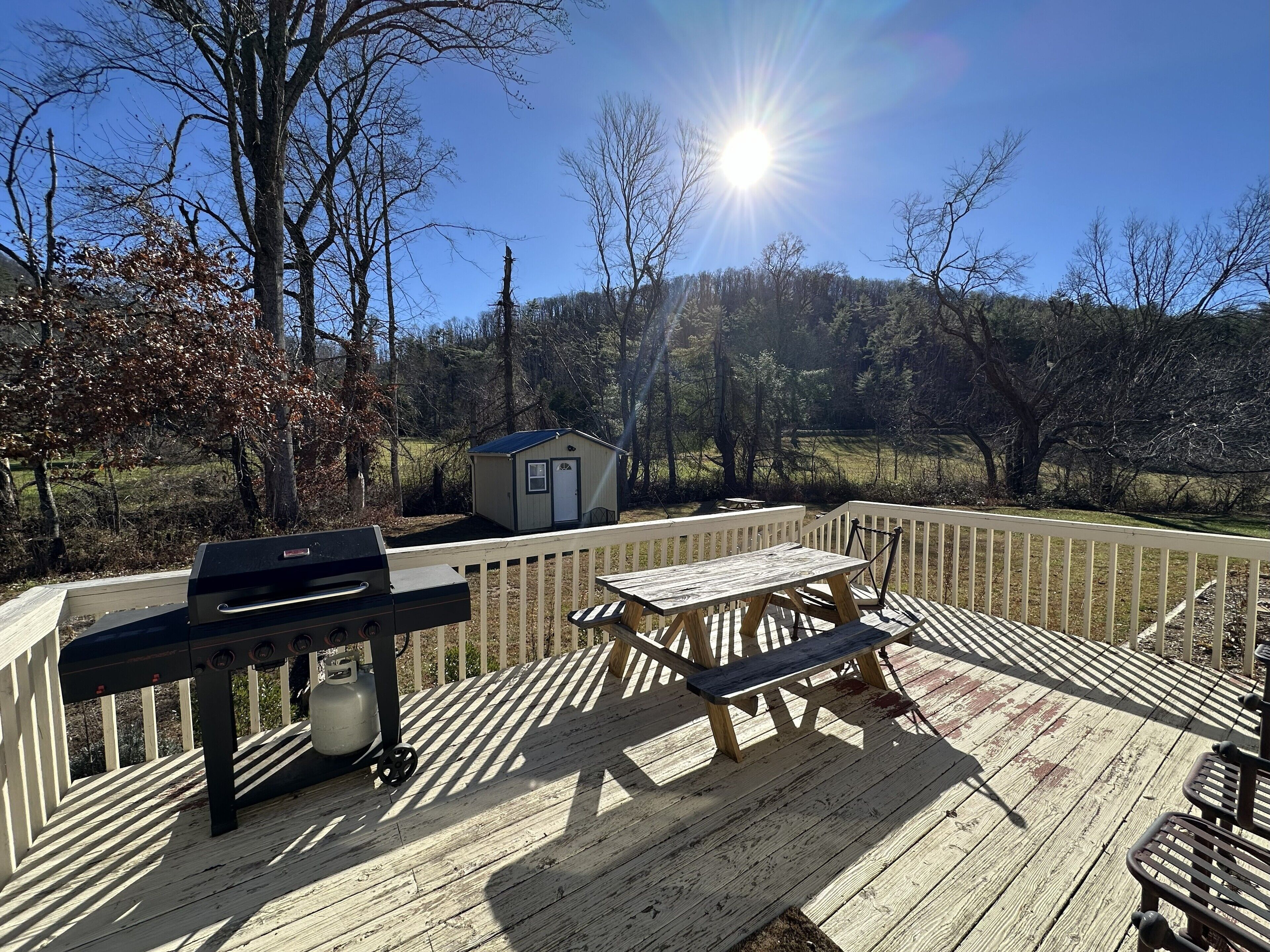 Une terrasse en bois avec un barbecue et une table de pique-nique, donnant sur une zone boisée.