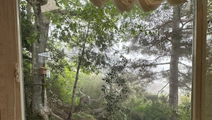 A corner window with a view of a forested area, a stone bench, and a curtain.