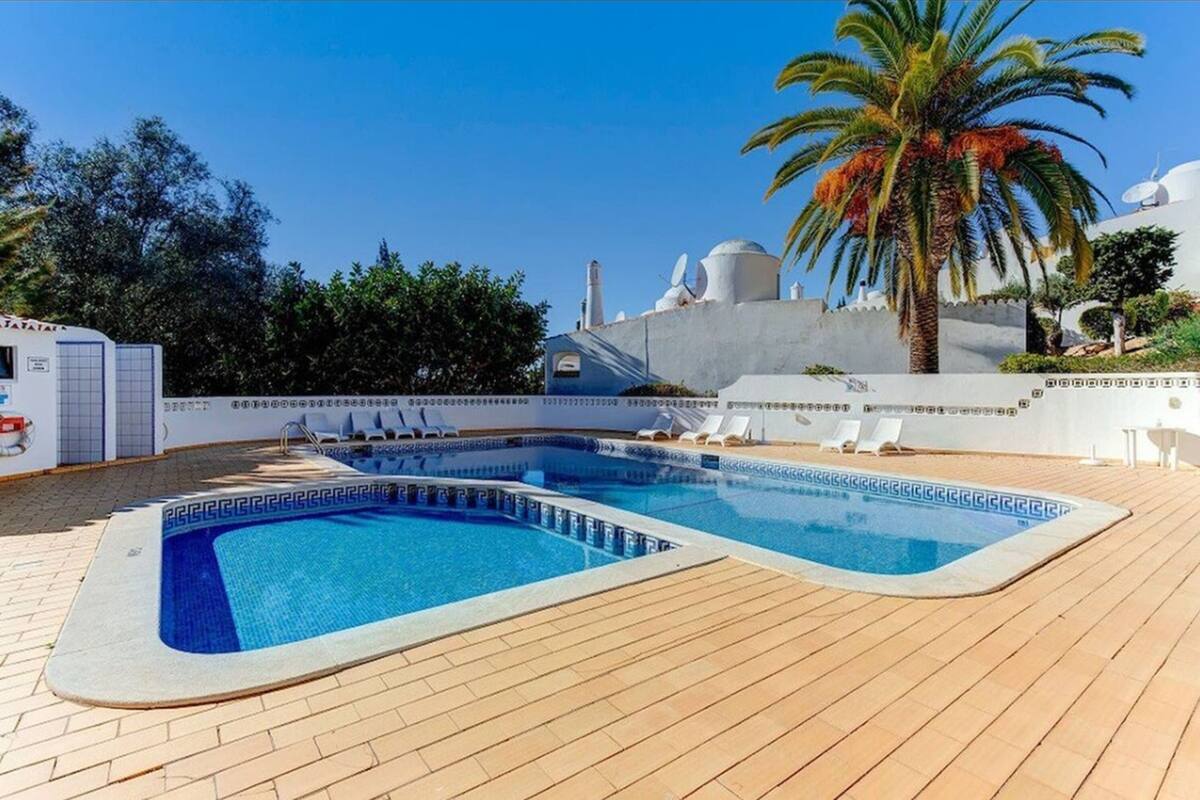 A pool area with a wooden deck, lounge chairs, and a palm tree.