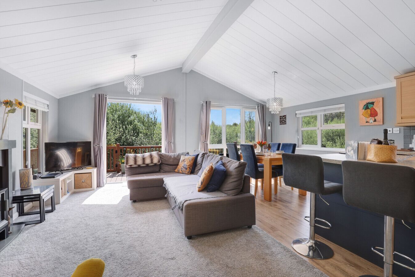 Smart TV, DVD player, books