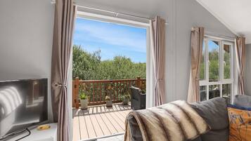 TV connectée, lecteur de DVD, livres