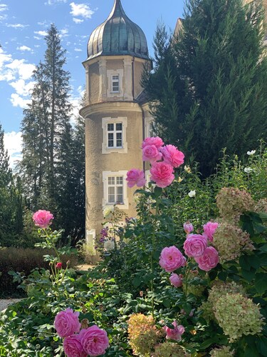 Napoleon Suite 1521 - kaiserlich wohnen auf Schloss Hürbel