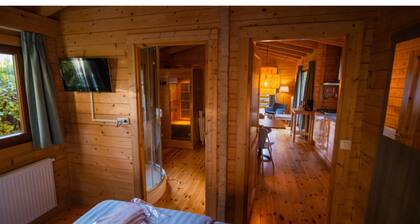Lodge in Markelo With Sauna and Pool Nearby
