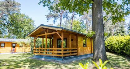 Lodge in Markelo With Sauna and Pool Nearby
