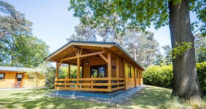 Lodge in Markelo With Sauna and Pool Nearby