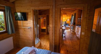 Lodge in Markelo With Sauna and Pool Nearby