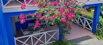 Spacious apartment near Christiansted & beaches with ocean views of Buck Island.