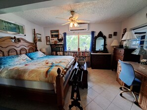 1 bedroom, desk, iron/ironing board, free WiFi - Spacious apartment near Christiansted & beaches with ocean views of Buck Island. (Christiansted)