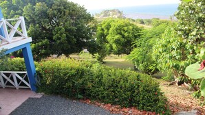 A garden with a blue structure, a pathway, and a view of the sea. - Spacious apartment near Christiansted & beaches with ocean views of Buck Island. (Christiansted)
