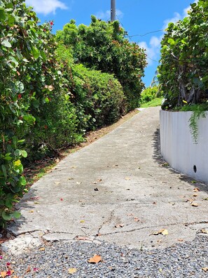 Property grounds - Spacious apartment near Christiansted & beaches with ocean views of Buck Island. (Christiansted)
