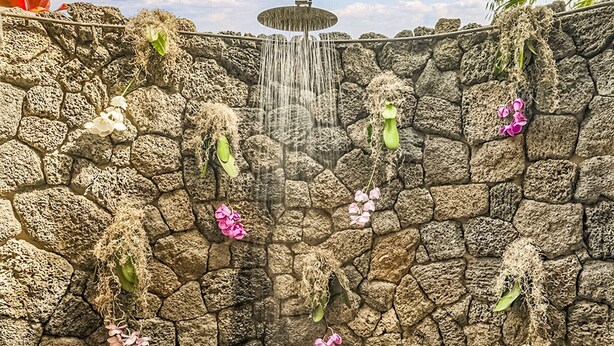 A stone wall with hanging plants and a small waterfall feature.