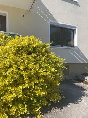 Detalle exterior
