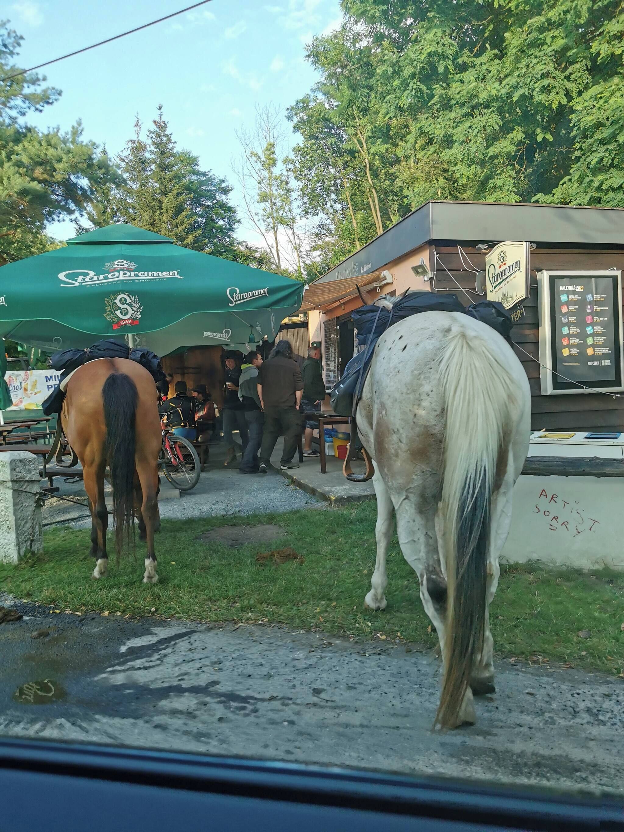 Establo para caballos con dos ejemplares, un toldo verde y un cartel.