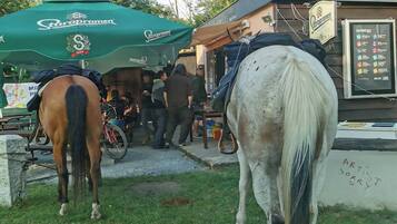 Establo para caballos con dos ejemplares, un toldo verde y un cartel.
