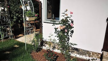 Un jardín con rosales, un invernadero y un edificio blanco con una ventana.