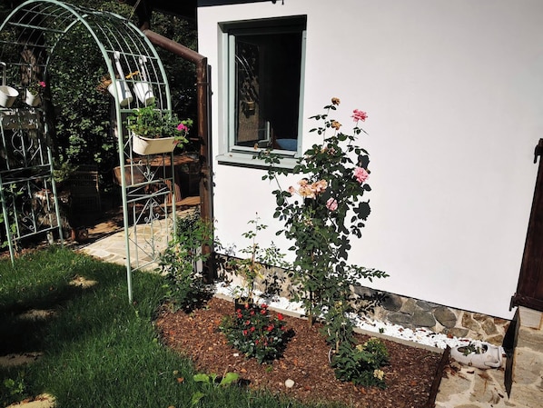 Un jardín con rosales, un invernadero y un edificio blanco con una ventana.