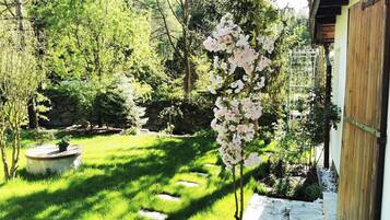 A garden with a stone pathway, a wooden fence, and a variety of trees and shrubs.