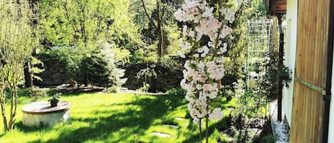 A garden with a stone pathway, a wooden fence, and a variety of trees and shrubs.