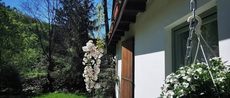 A house with a stone pathway leading to a wooden door, surrounded by a well-maintained garden with flowering plants and a lawn.