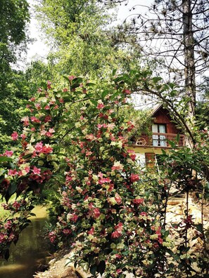 A rustic cabin surrounded by lush greenery and flowering plants. - Fairy Tale Cottage on Water Stream, 30 Minutes From South Prague (Petrov)