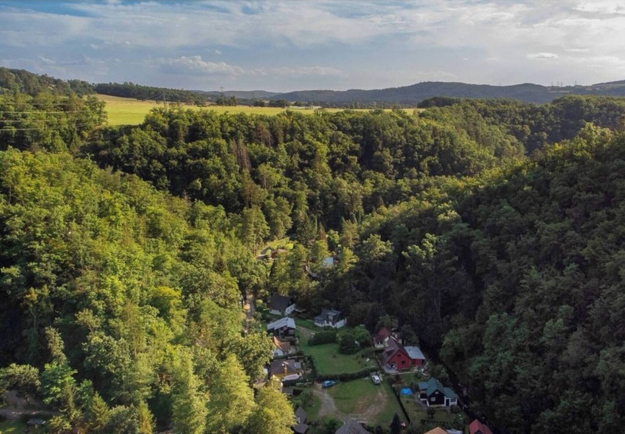 An aerial view of a residential area surrounded by dense forest, with houses and a red barn visible.