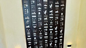 Unclassified image, 4 of 49, button - inside pyramids hotel (Giza)