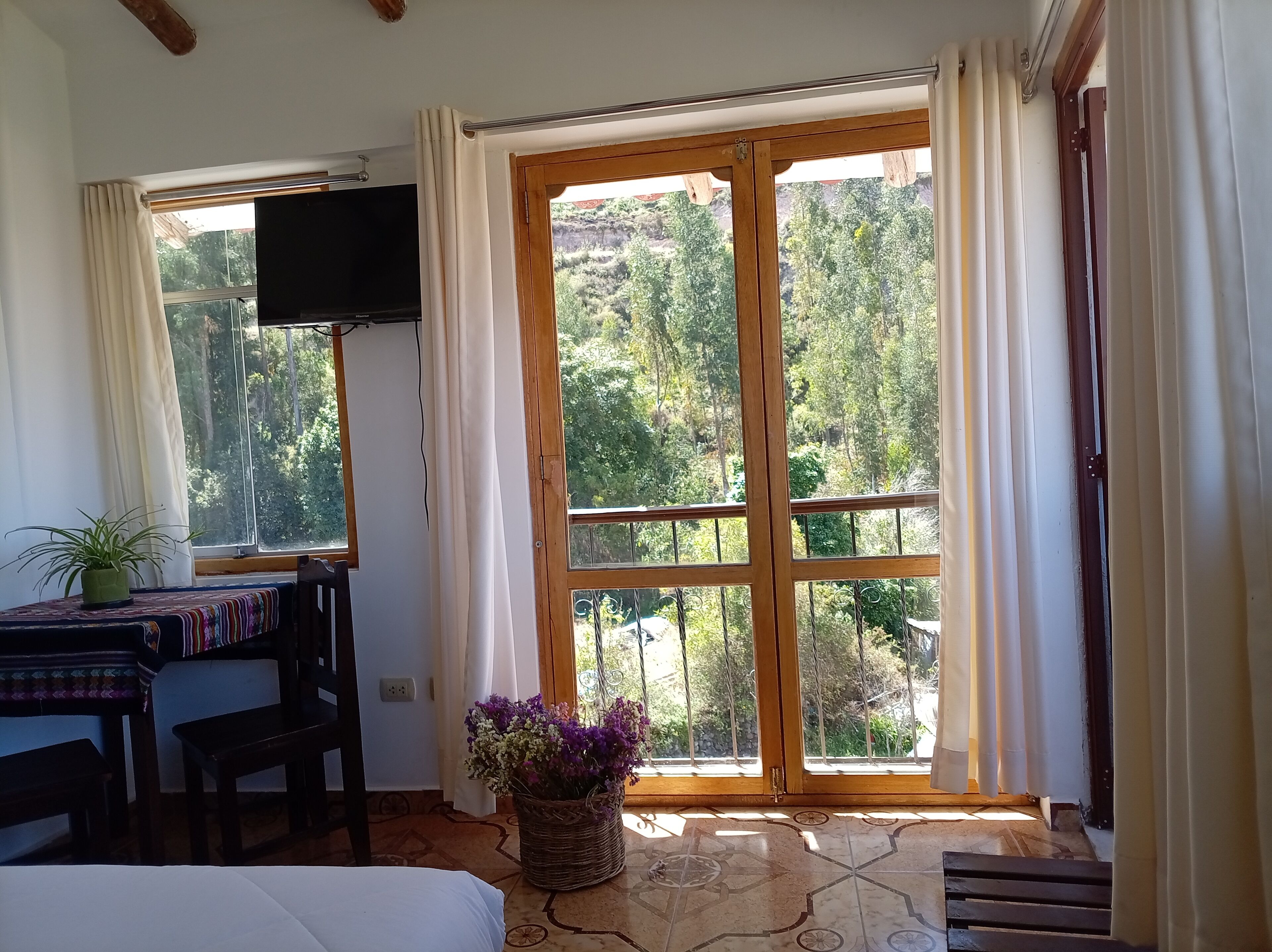 A room with a bed, a table with a plant, a TV, and a large window with curtains.