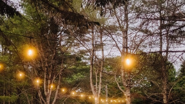 An outdoor seating area with orange chairs and tables, surrounded by trees and string lights. - Camp DeForest (Lincolnville)