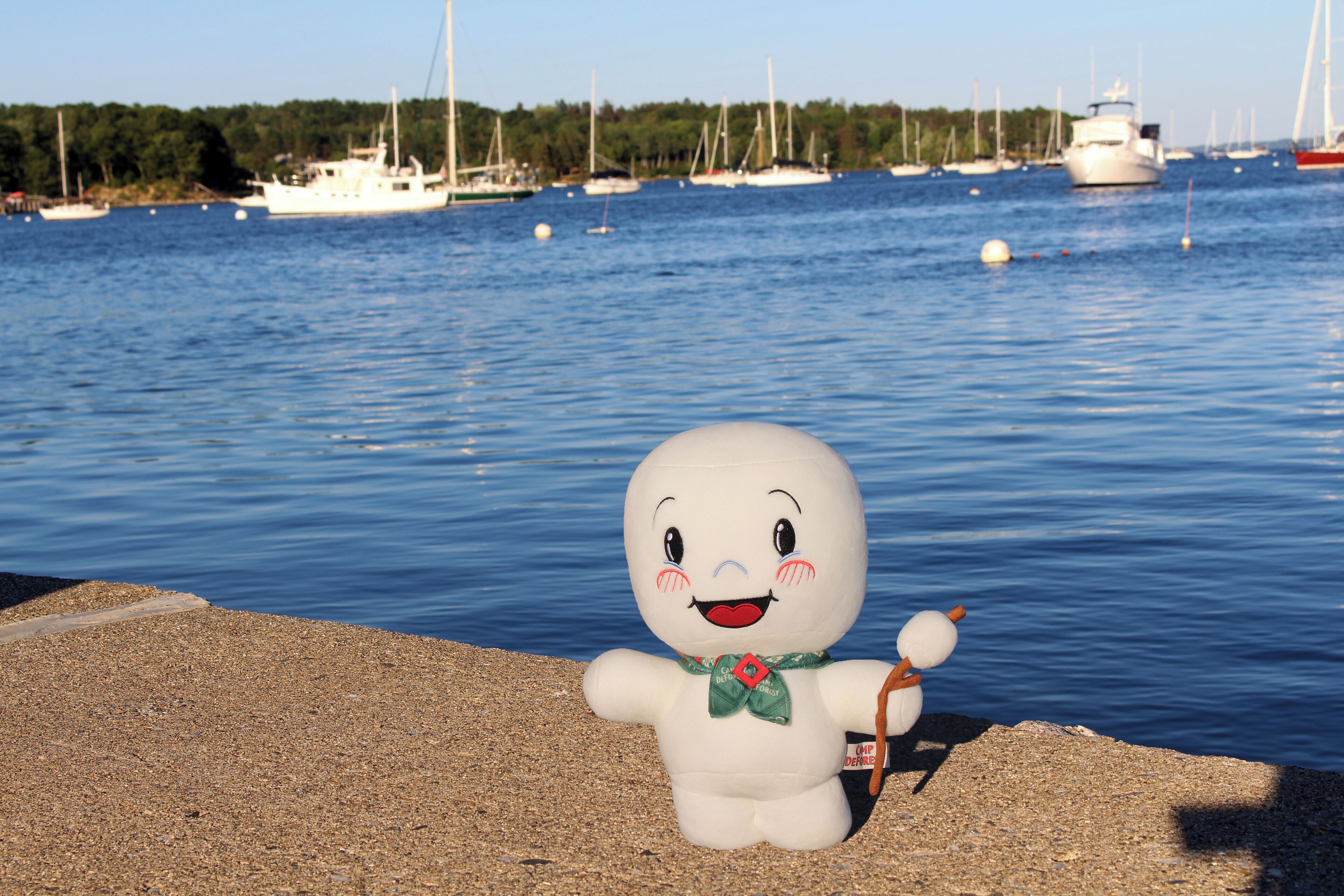 A plush toy with a green bow and a red ribbon on its neck, standing on a pebbled surface near a body of water with boats in the background.