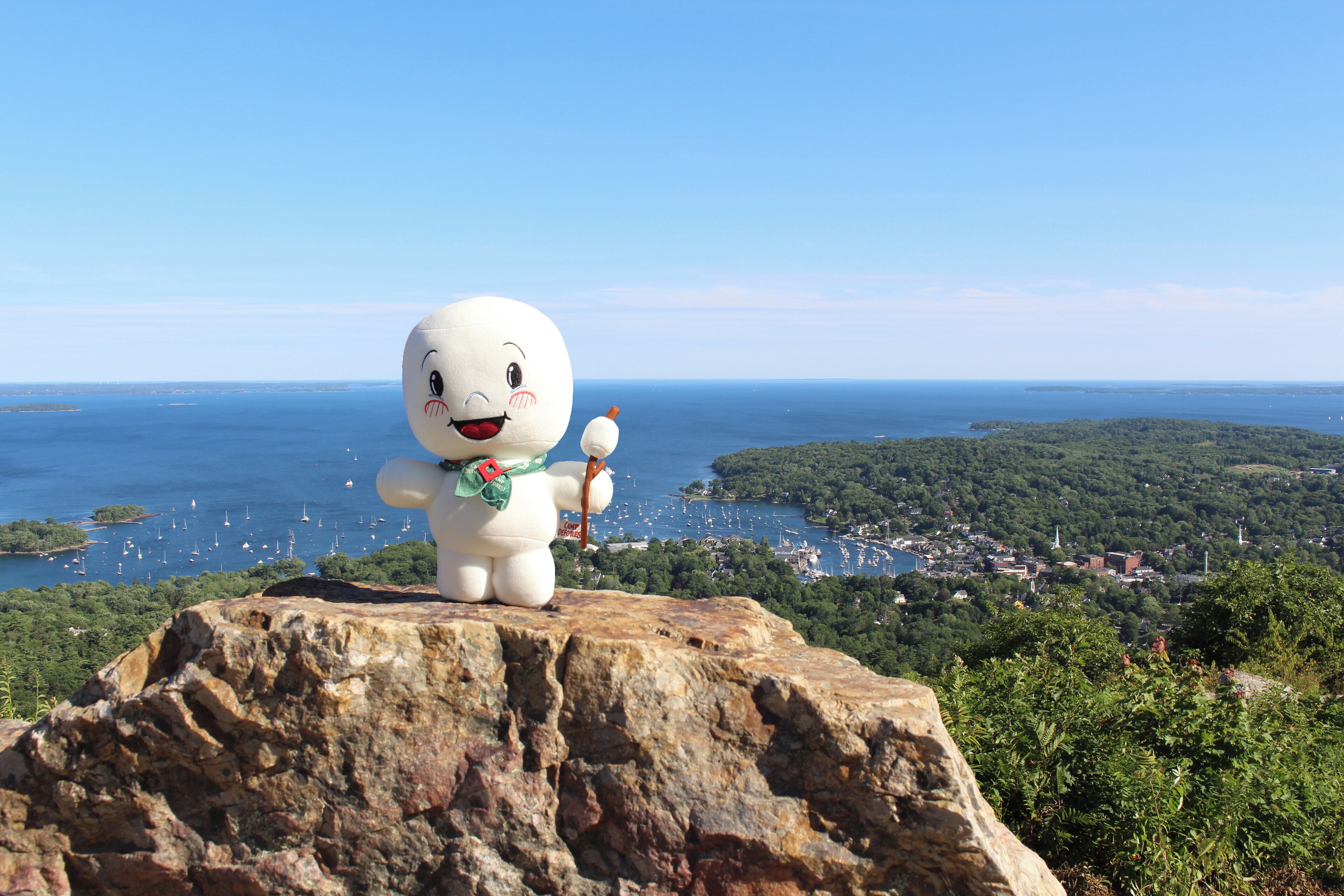A plush toy on a rocky outcrop overlooking a coastal town with boats and greenery.