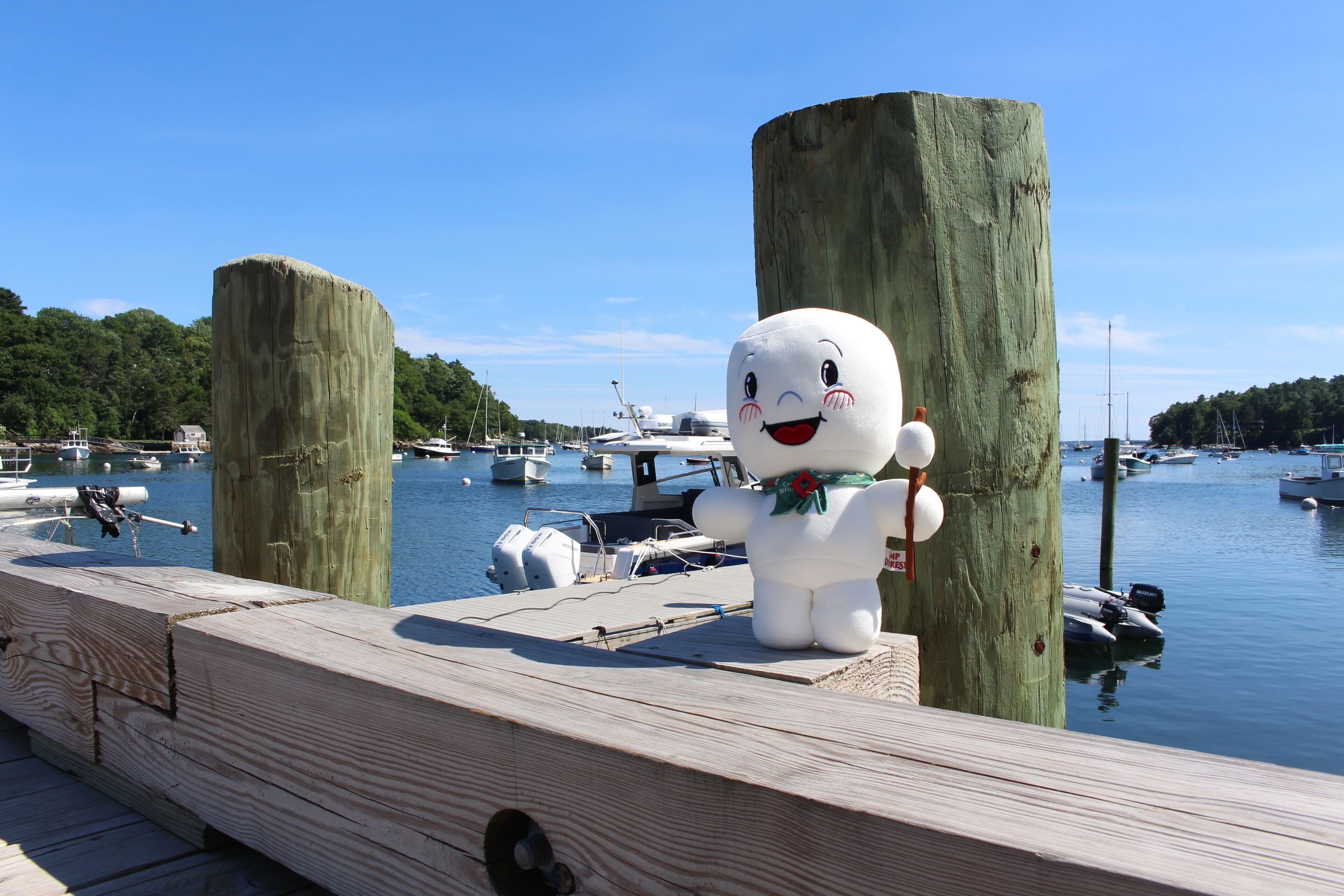 A wooden dock with a large white statue of a smiling bear holding a sign, surrounded by boats and a clear blue sky.