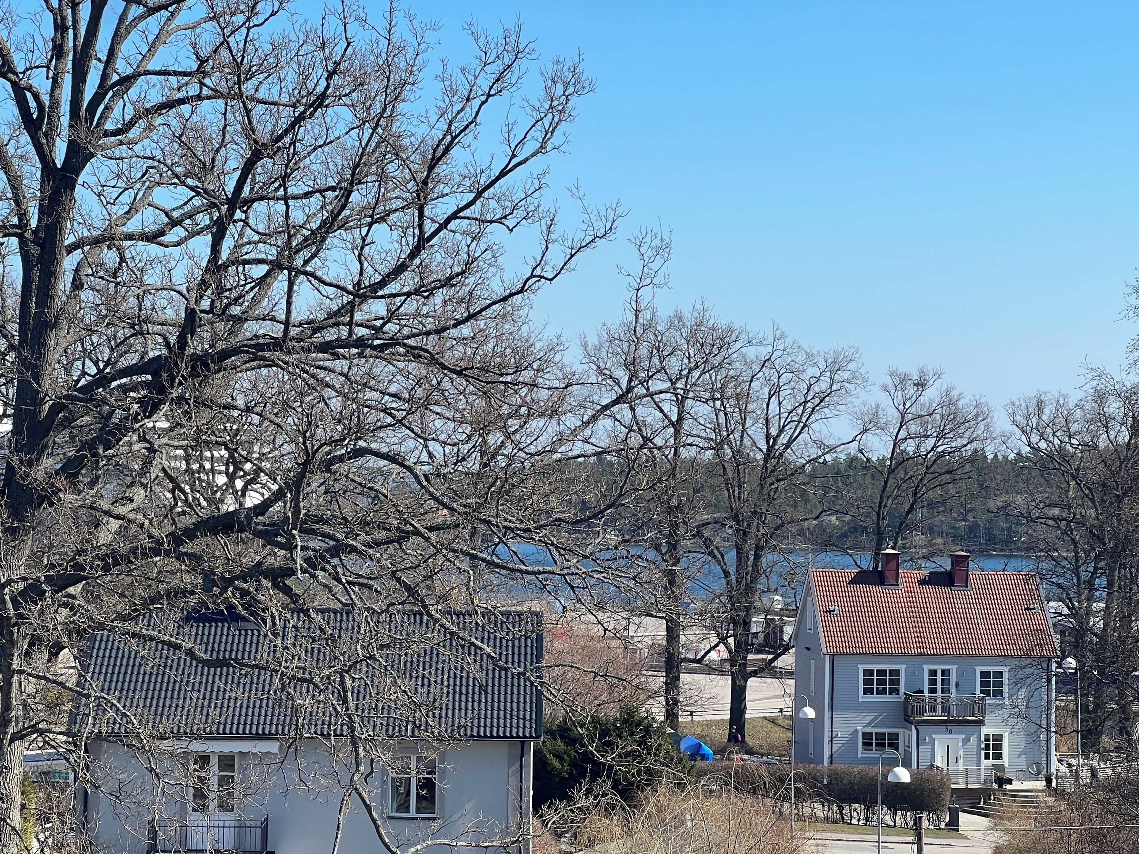 Udendørsområde