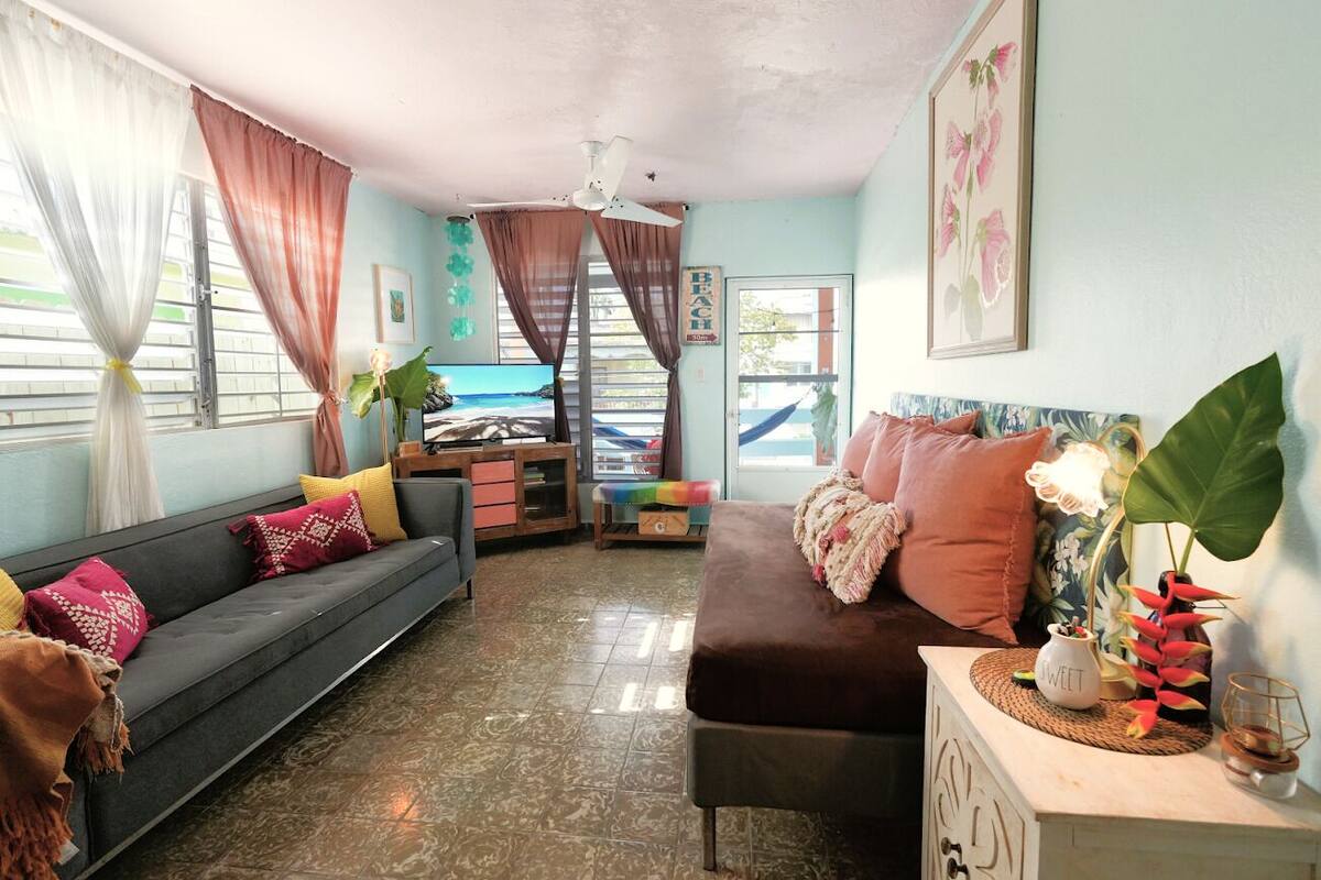 A living room with a sofa, a coffee table, and a TV. There is a window with curtains, a ceiling fan, and a plant on the coffee table.