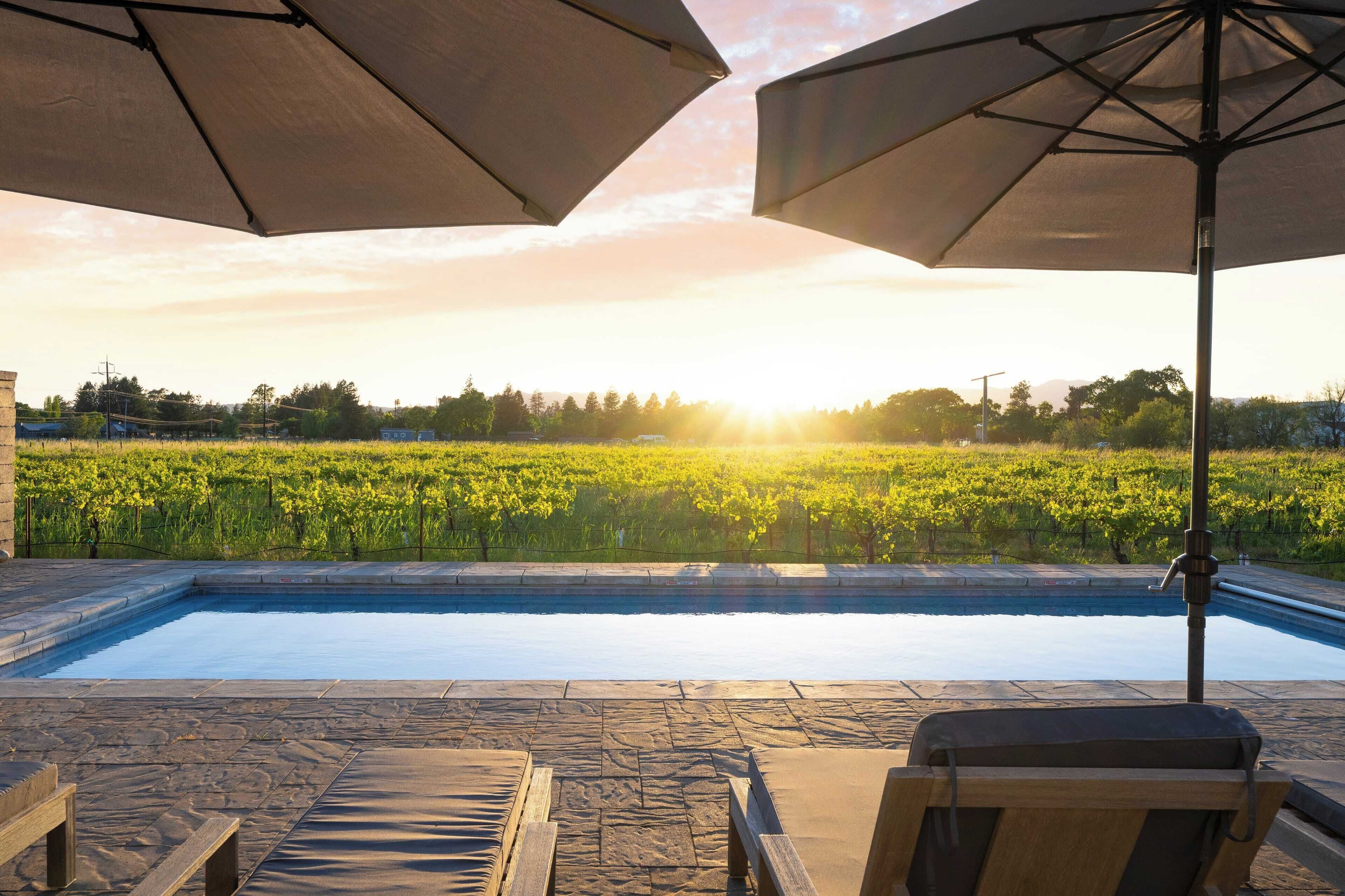 A poolside area with lounge chairs and umbrellas, overlooking a vineyard.