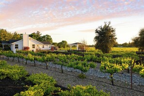 House (4 Bedrooms) | Interior - Chic Sonoma Oasis w/ Pool, Bocce, Hot Tub + Minutes to Downtown (Sonoma)