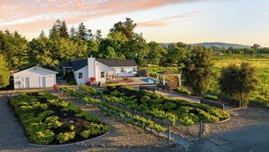 Una proprietà residenziale con piscina, giardino e vigneto.
