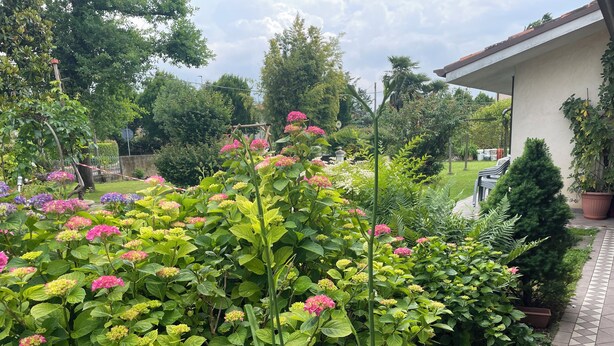 Un jardin avec différentes plantes et fleurs, un chemin dallé et un bâtiment en arrière-plan.