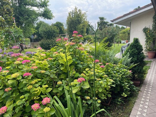 Charming 2-bedroom apartment terrace, view, WiFi, AC in lovely Noventa di Piave