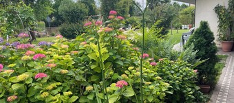 Charming 2-bedroom apartment terrace, view, WiFi, AC in lovely Noventa di Piave