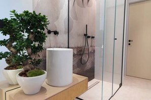 Shower, hair dryer, bidet, towels