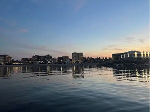 Miscellaneous