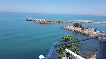 Vista desde la habitación