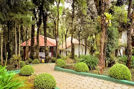 Jardín
