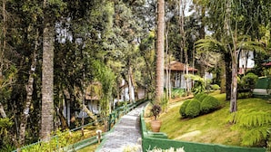 Un sendero atraviesa un jardín exuberante con árboles y un edificio pequeño al fondo.