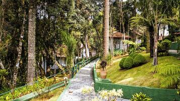 Entrada (vista interna)